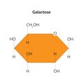 Galactose is a monosaccharide sugar. Royalty Free Stock Photo